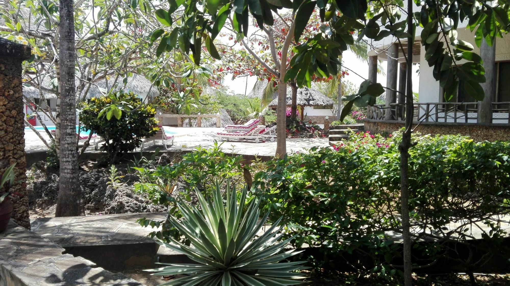 Flamingo Villas Resort มาลินดี ภายนอก รูปภาพ